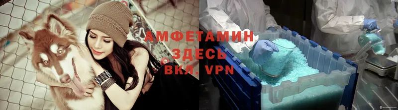 дарнет шоп  darknet Telegram  АМФ Розовый  Жиздра 